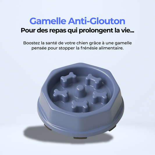 Gamelle Anti-Glouton